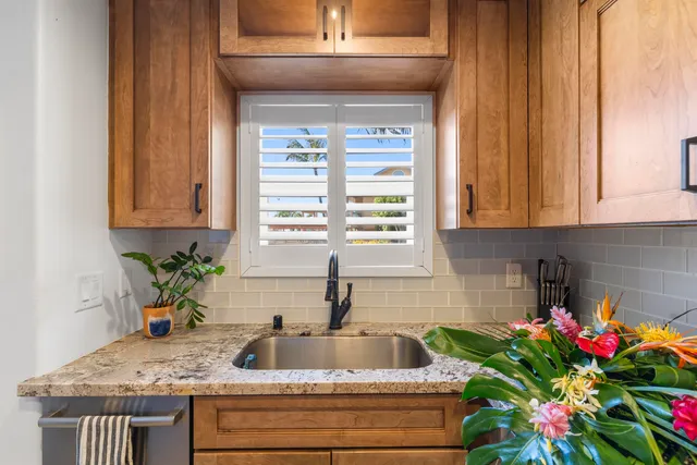 a kitchen with stainless steel appliances granite countertop a sink a potted plant and a window