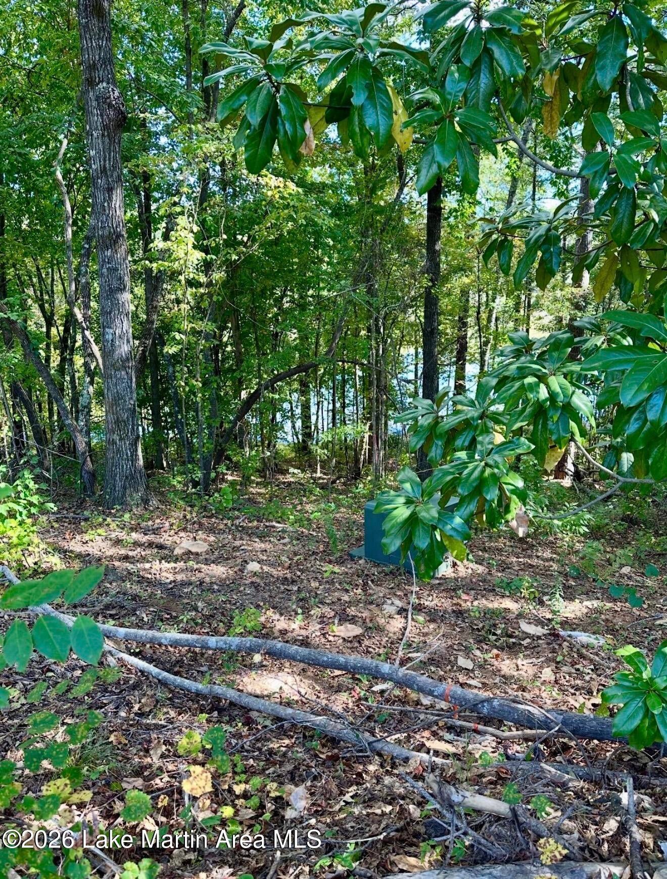 1392 Sturdivant Road Jacksons Gap, AL 36861 - Photo 17 of 18 Gallery Image 17