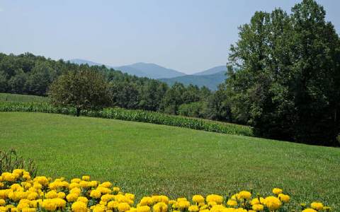 10 Travis Ridge Blairsville, GA 30512 - Photo 1 of 1 Main View