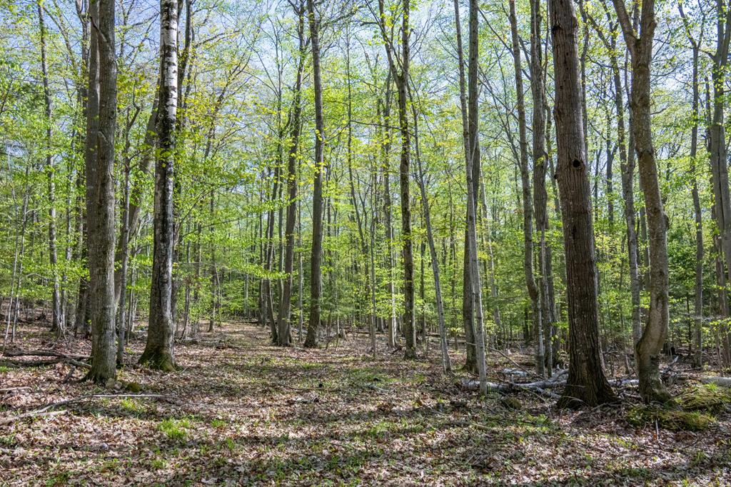 6810 Spring Lane Egg Harbor, WI 54209 - Photo 21 of 32