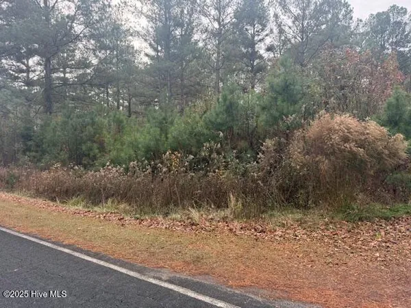 $60,000 | 0 Wooded Acres Road, Lake Waccamaw, NC 28450