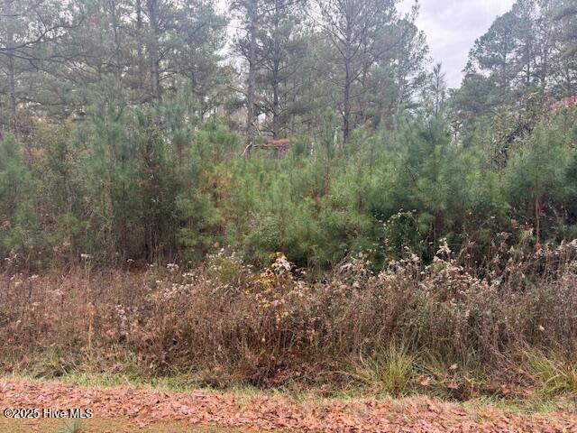 0 Wooded Acres Road Lake Waccamaw, NC 28450 - Photo 2 of 8 IMG_4416