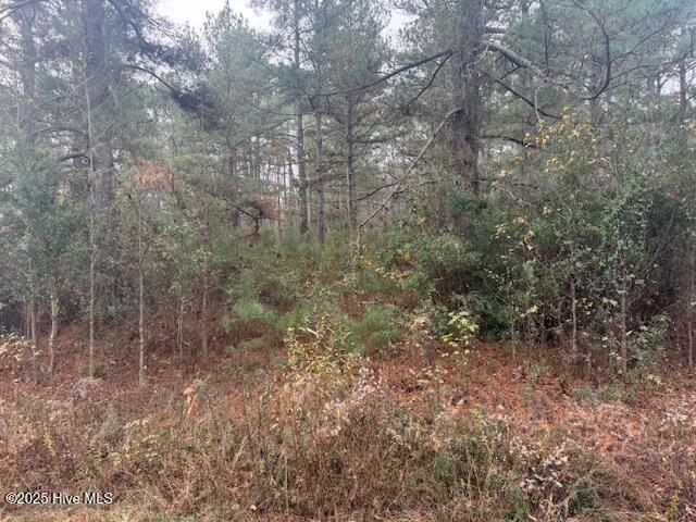 0 Wooded Acres Road Lake Waccamaw, NC 28450 - Photo 4 of 8 IMG_4418