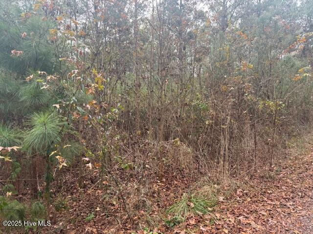 0 Wooded Acres Road Lake Waccamaw, NC 28450 - Photo 5 of 8 IMG_4419
