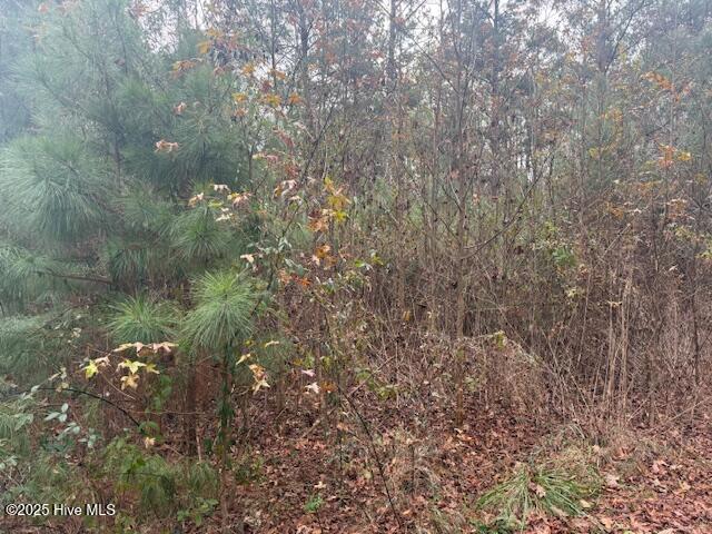 0 Wooded Acres Road Lake Waccamaw, NC 28450 - Photo 6 of 8 IMG_4420