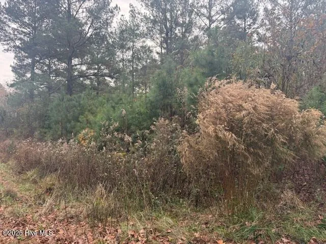$70,000 | 0 Wooded Acres Road, Lake Waccamaw, NC 28450