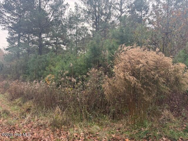 0 Wooded Acres Road Lake Waccamaw, NC 28450 - Photo 7 of 8 IMG_4421