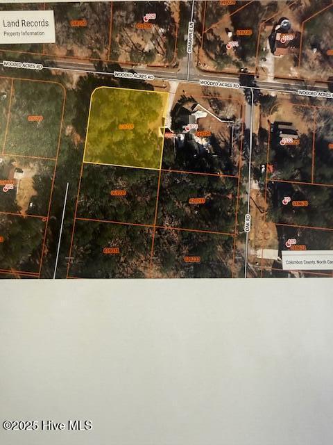 0 Wooded Acres Road Lake Waccamaw, NC 28450 - Photo 8 of 8 IMG_4422