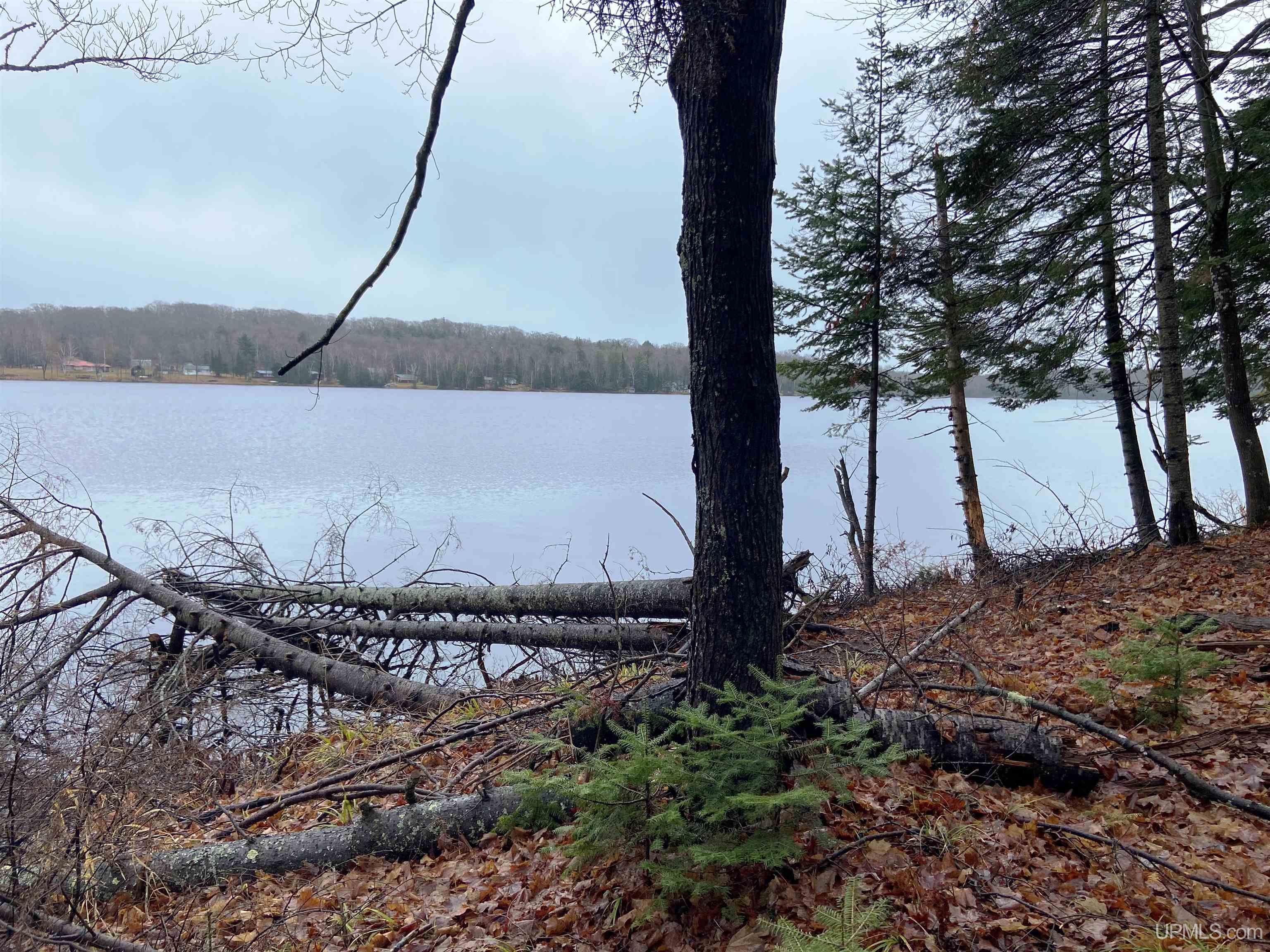 Tbd West Tamarack Lake Road, Unit LOT 5 Watersmeet, MI 49969 - Photo 3 of 66
