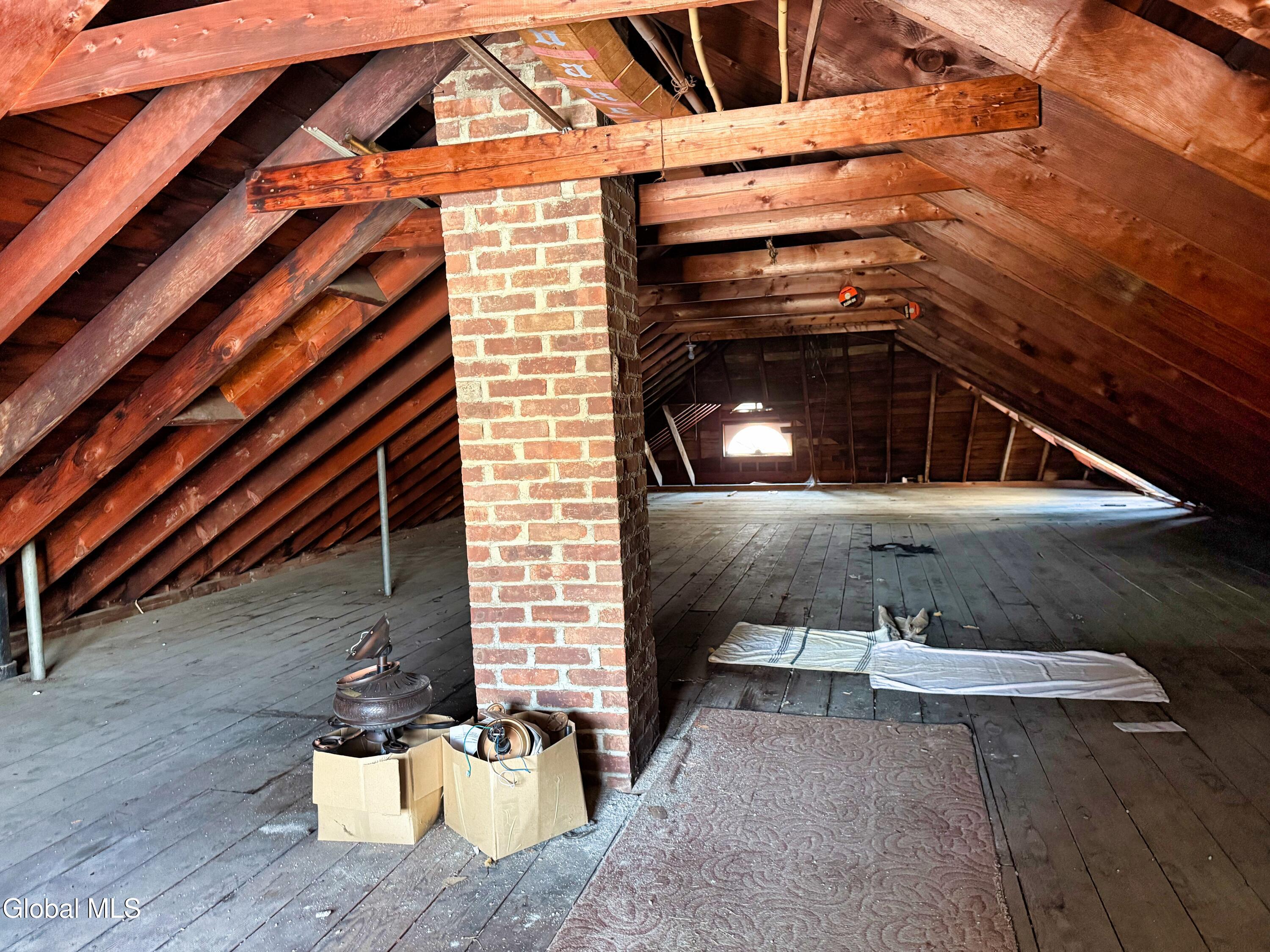 81 Edgecomb Street Albany, NY 12209 - Photo 24 of 24 IMG_5928