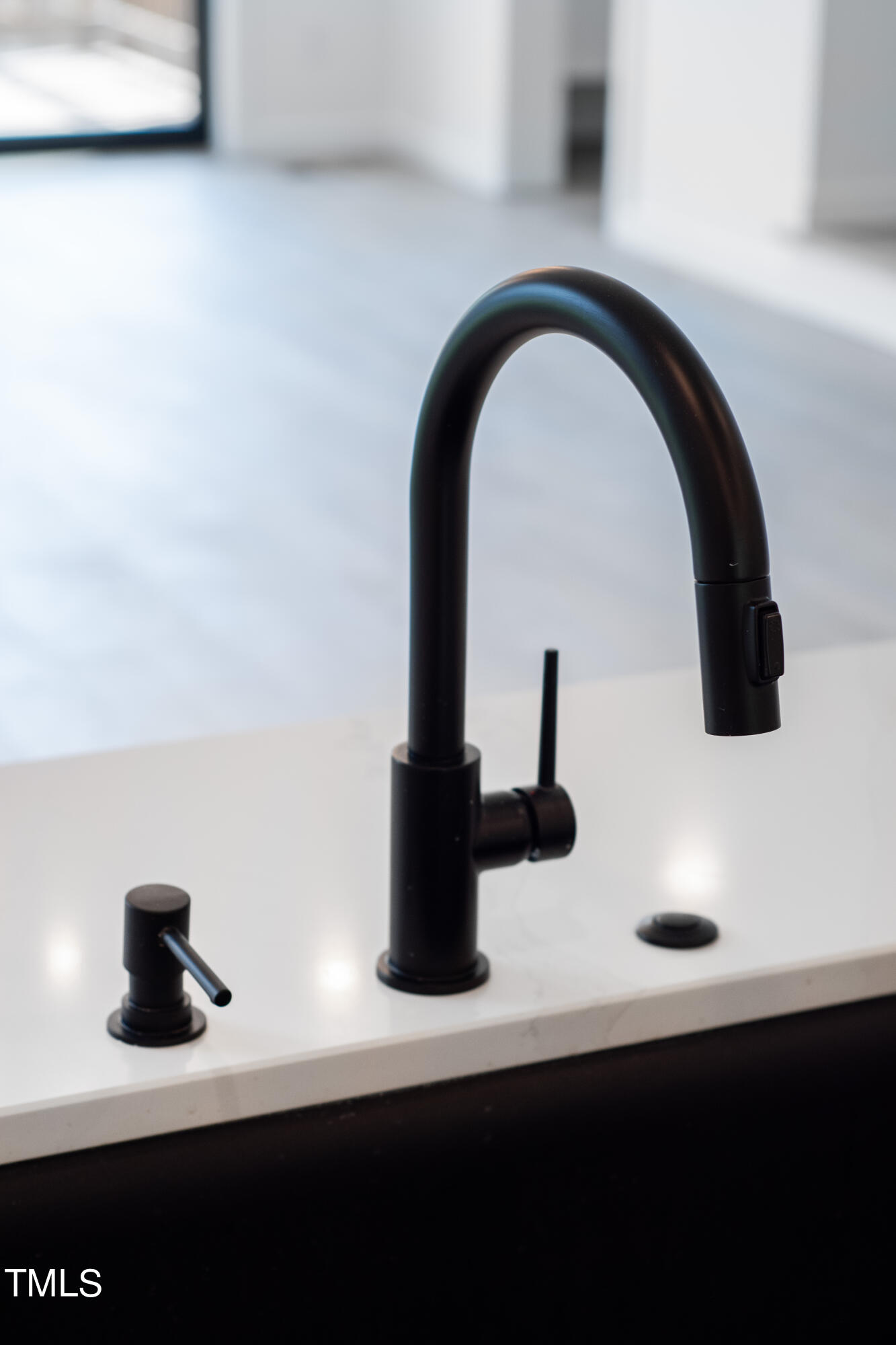 716 Brighton Road, Unit 101 Raleigh, NC 27610 - Photo 14 of 67 a close view of sink and tap