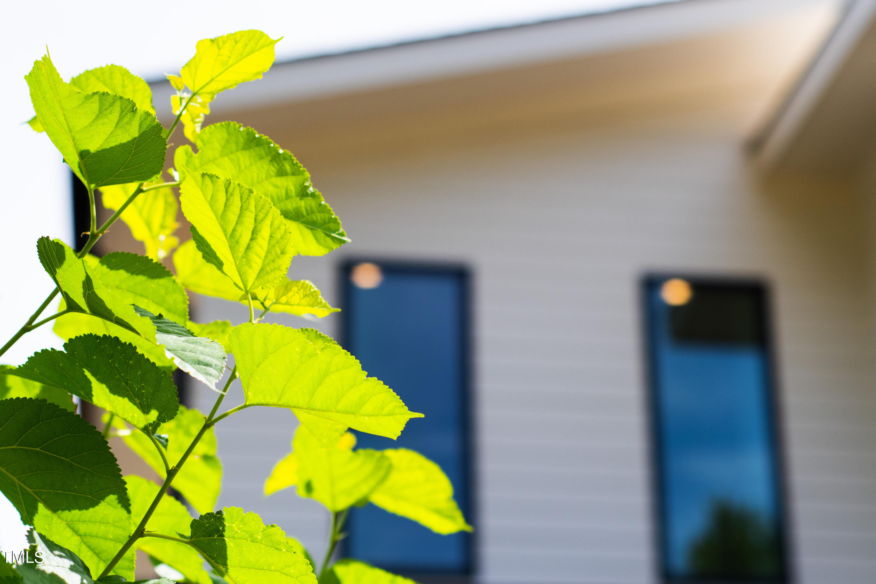 716 Brighton Road, Unit 101 Raleigh, NC 27610 - Photo 4 of 67 2