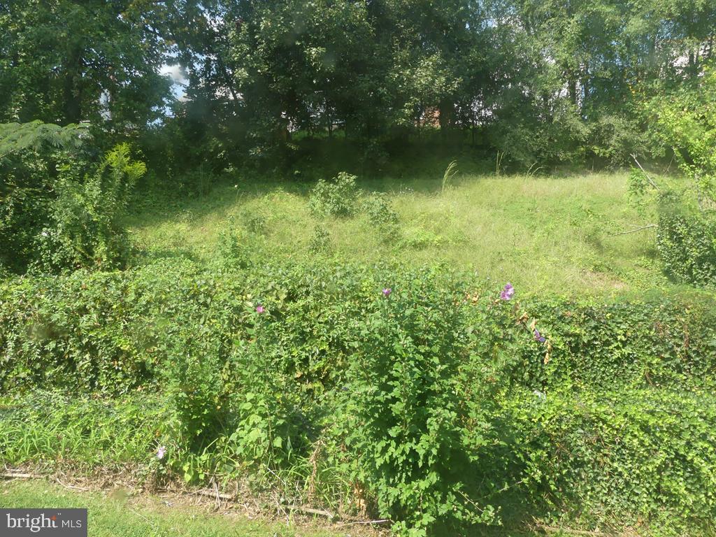 8016 Sagramore Road Baltimore, MD 21237 - Photo 27 of 30 Yard-View