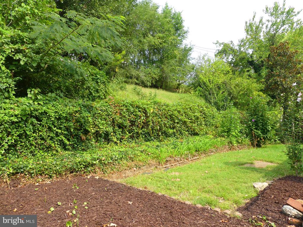 8016 Sagramore Road Baltimore, MD 21237 - Photo 8 of 30 Back yard of home