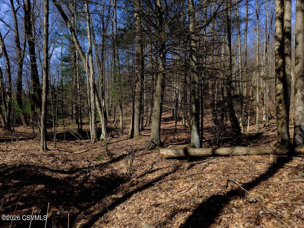 Squirrel Lane Shickshinny, PA 18655 - Photo 26 of 50