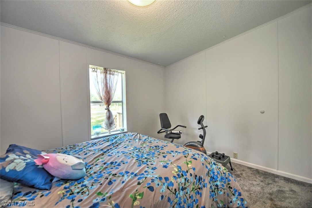 18251 Three B Farm Road Estero, FL 33928 - Photo 19 of 28 Gallery Image 19