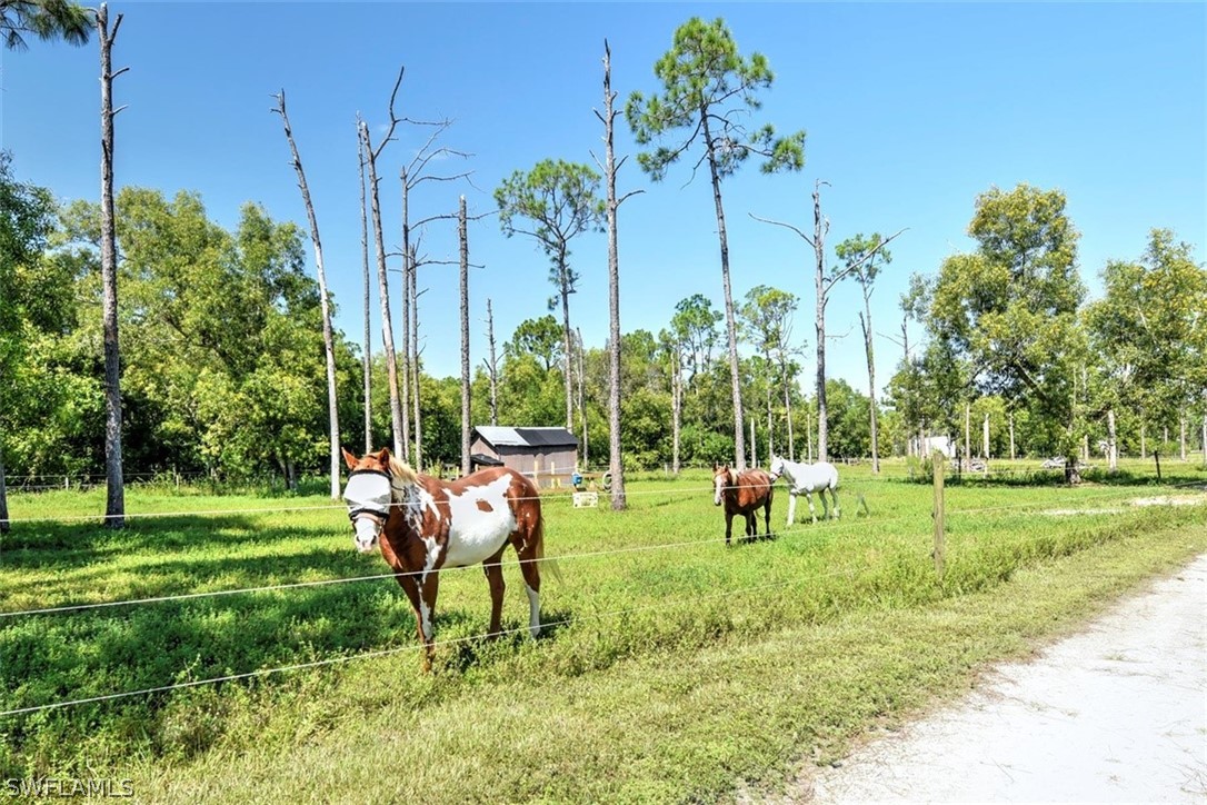 18251 Three B Farm Road Estero, FL 33928 - Photo 25 of 28 Gallery Image 25