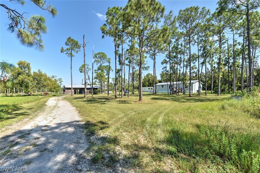 18251 Three B Farm Road Estero, FL 33928 - Photo 4 of 28 Gallery Image 4