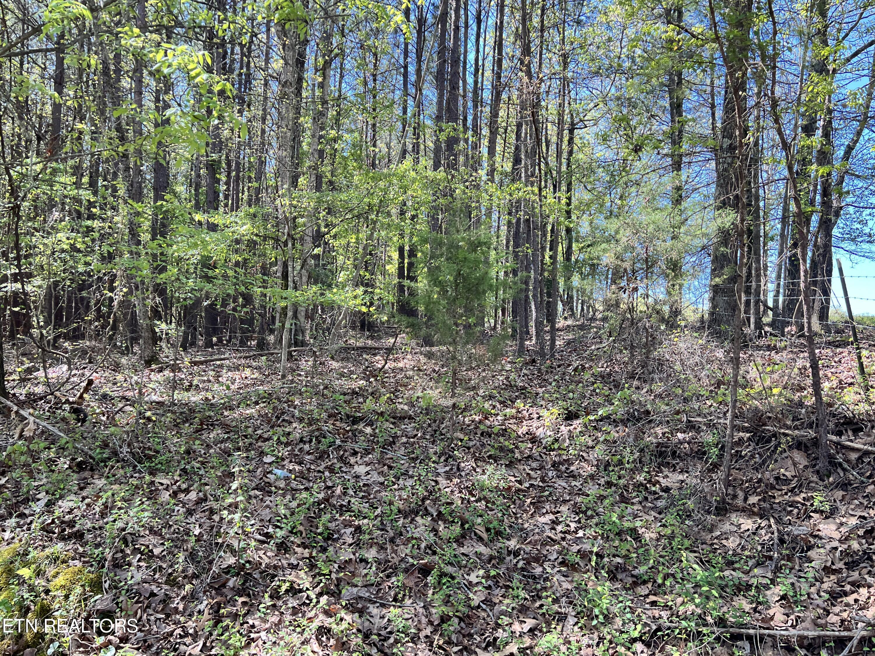 0 Old Hickory Flat Road Decatur, TN 37322 - Photo 3 of 8 IMG_8108