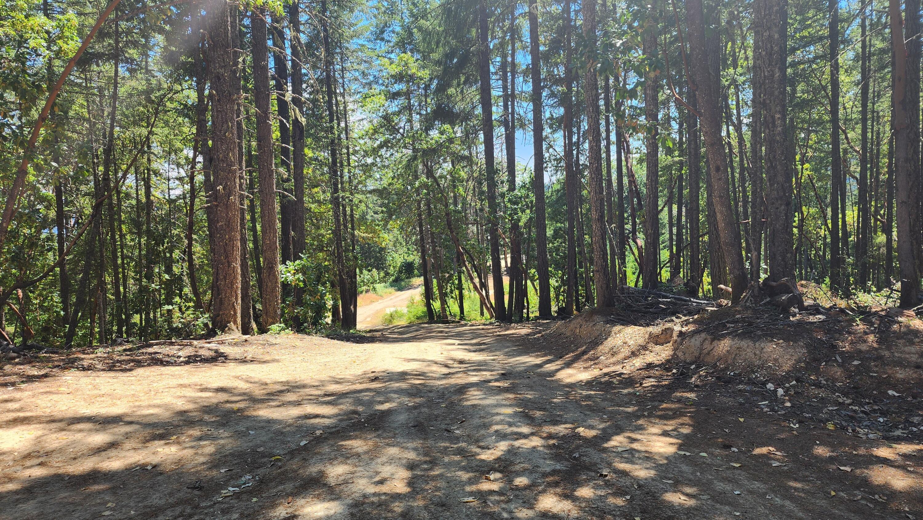 0 Quartz Creek Road, Unit TL 500 Merlin, OR 97532 - Photo 1 of 10 20230622_141815