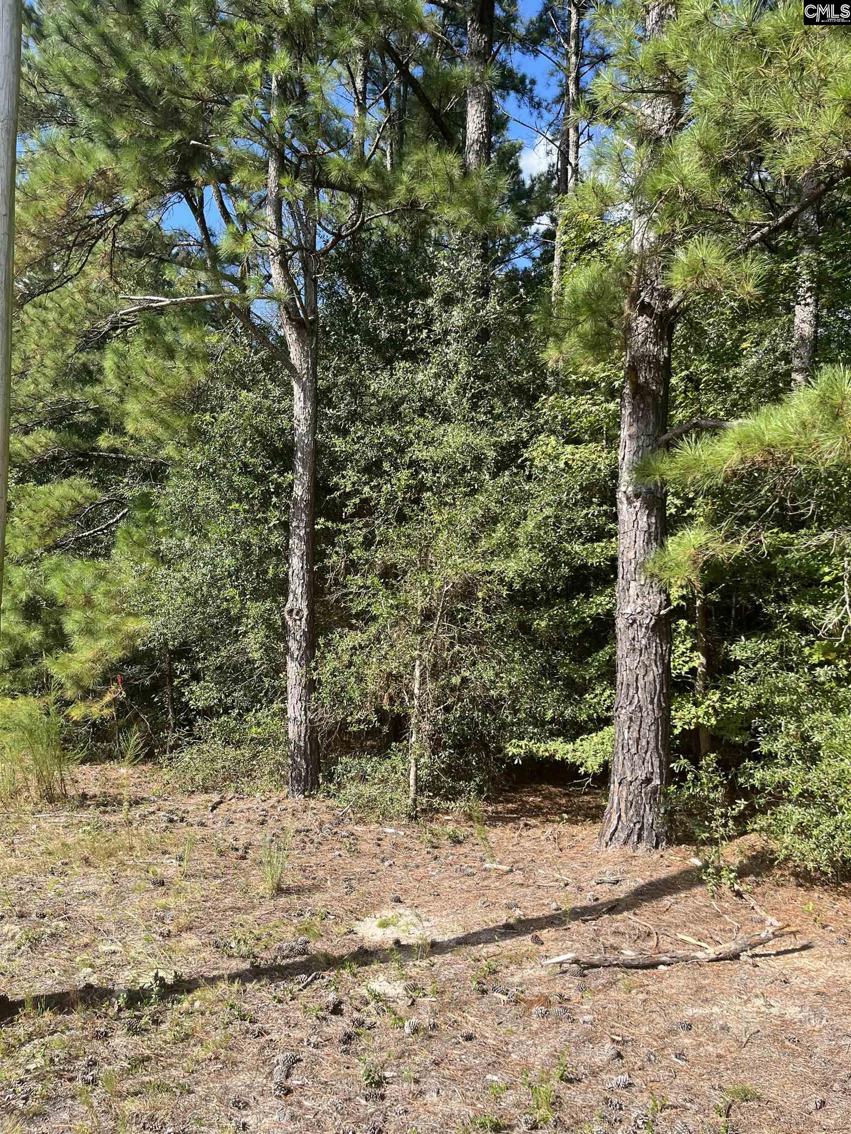 Tbd Festival Trail Road Salley, SC 29137 - Photo 10 of 12