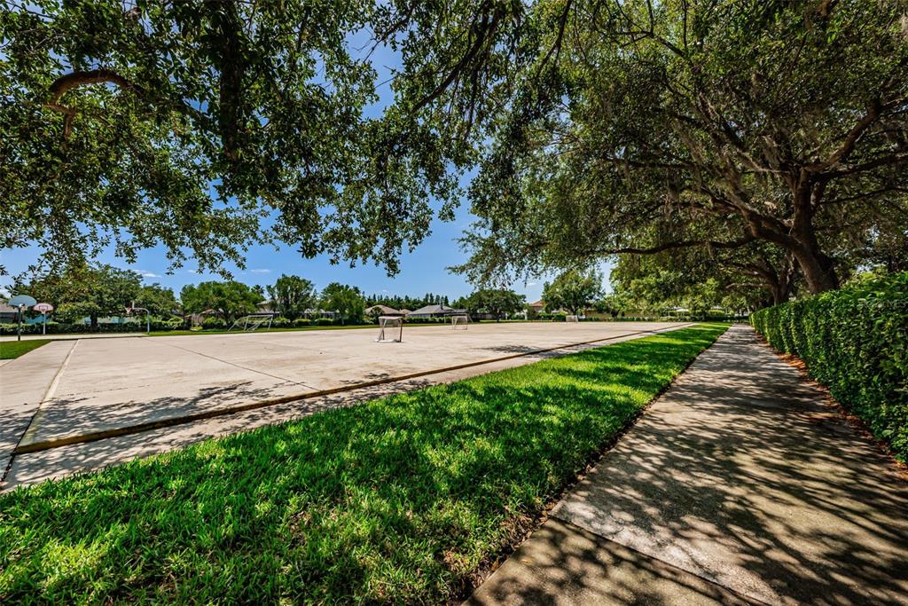 1821 Alvara Place Trinity, FL 34655 - Photo 48 of 63