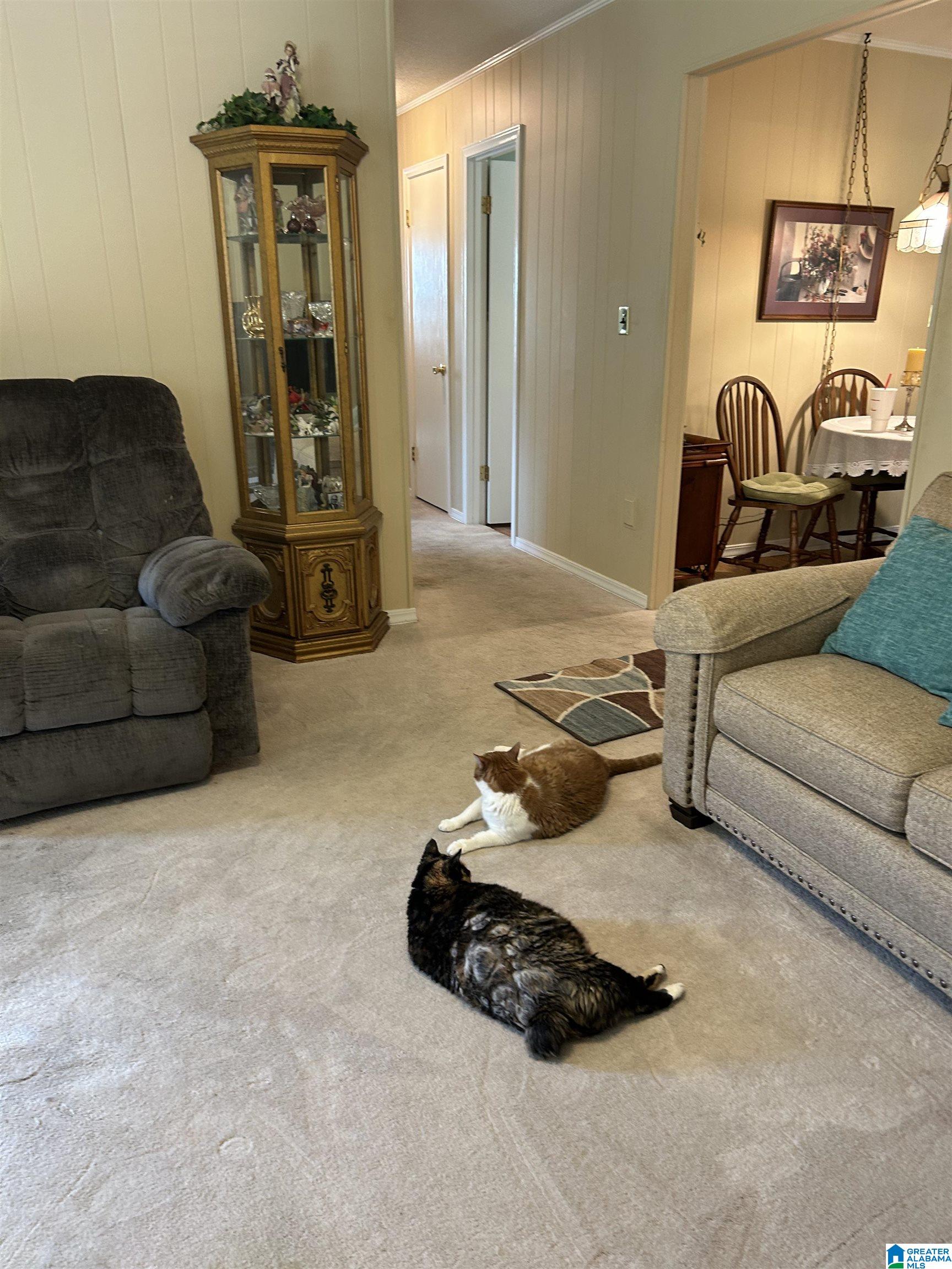 56 Kenny Street Haleyville, AL 35565 - Photo 25 of 48