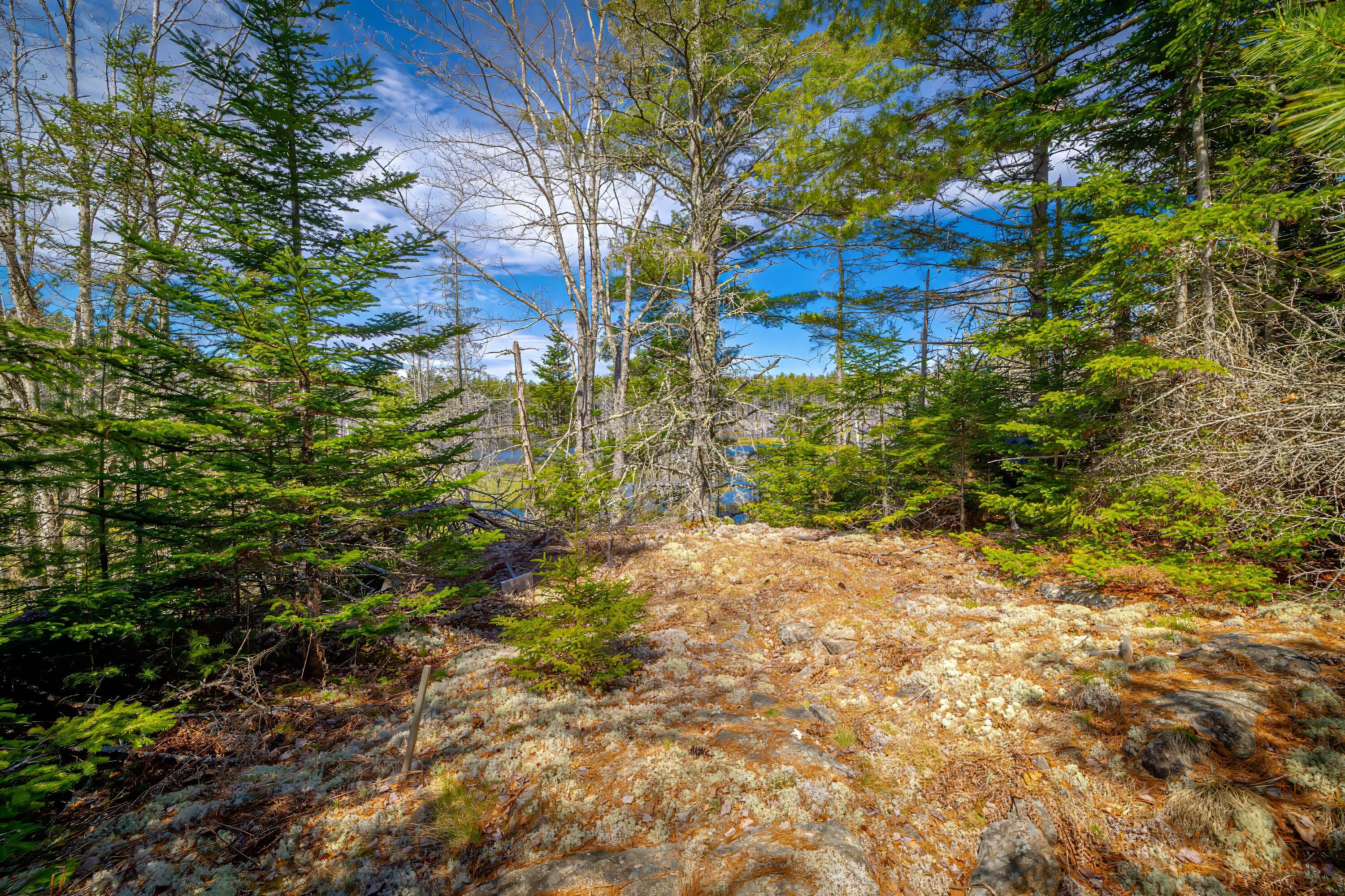 Lot 9 Bluff Road Bar Harbor, ME 04609 - Photo 17 of 33 Copy of 40-Lot 9, Bluff Road-DTP
