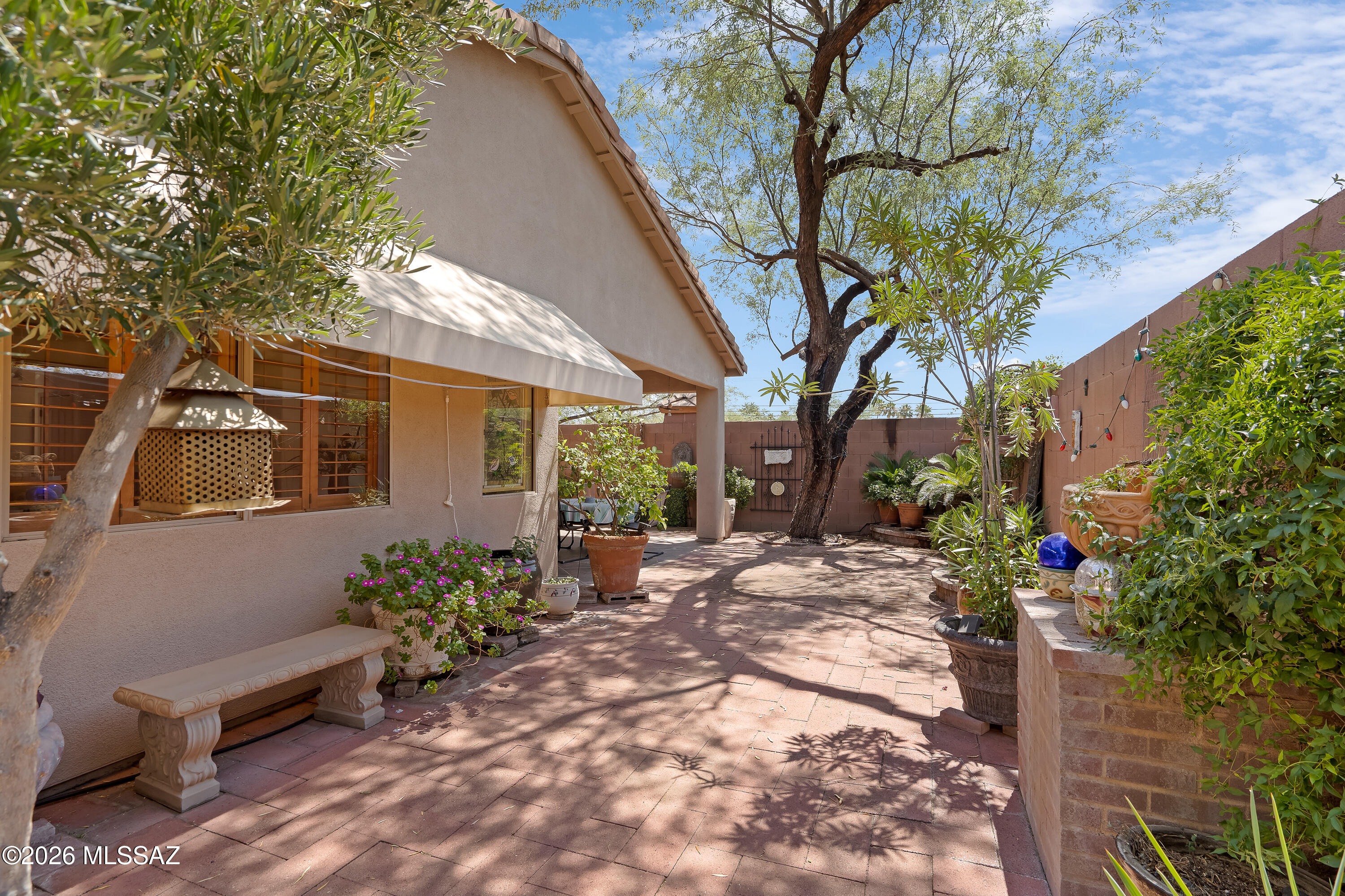 3396 North Camino Rio Colorado Tucson, AZ 85712 - Photo 26 of 32 a view of a backyard with potted plants and large tree