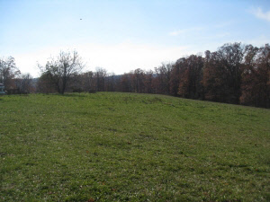 7000 East Sylvania Road Bloomfield, IN 47424 - Photo 16 of 17