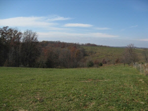 7000 East Sylvania Road Bloomfield, IN 47424 - Photo 17 of 17
