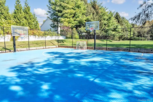 a view of a yard with potted plants