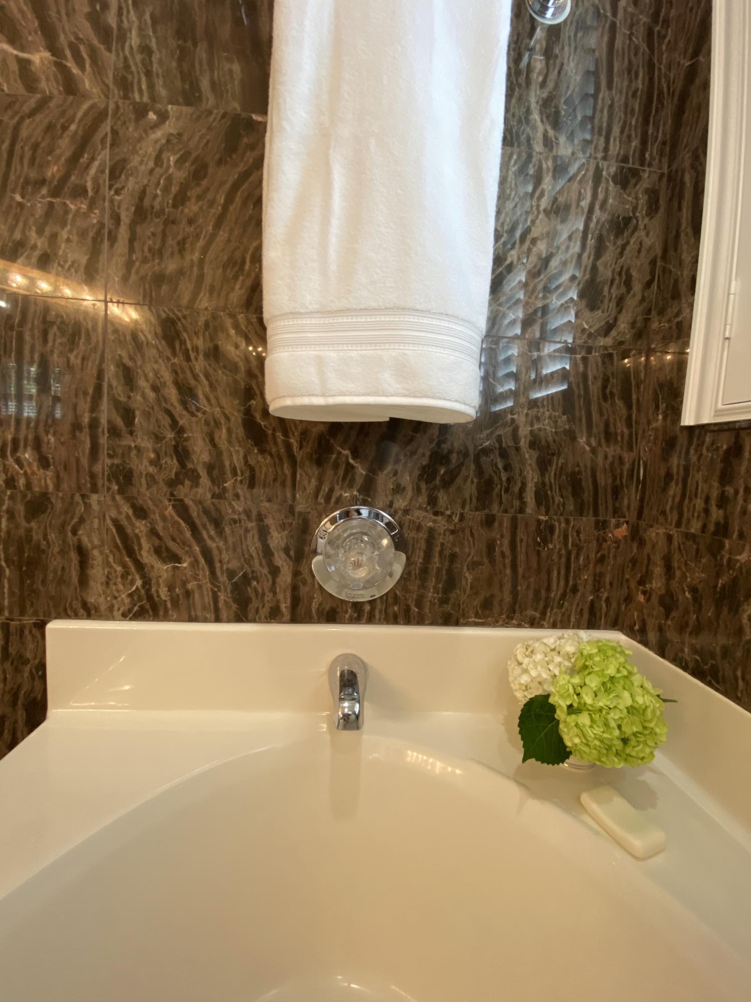 1127 Old Course Lane Mount Pleasant, SC 29466 - Photo 41 of 66 garden tub 2