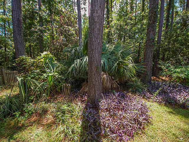 1127 Old Course Lane Mount Pleasant, SC 29466 - Photo 58 of 66 46