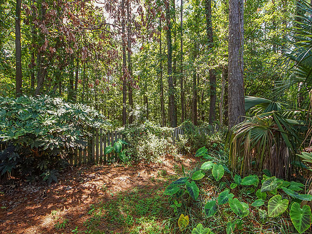 1127 Old Course Lane Mount Pleasant, SC 29466 - Photo 63 of 66 51