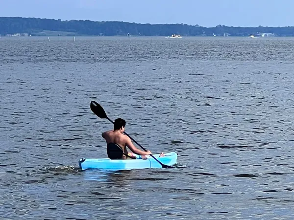 a view of a floor to ceiling window with wooden floor