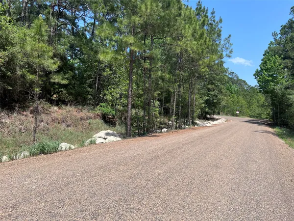 a view of a road with a trees