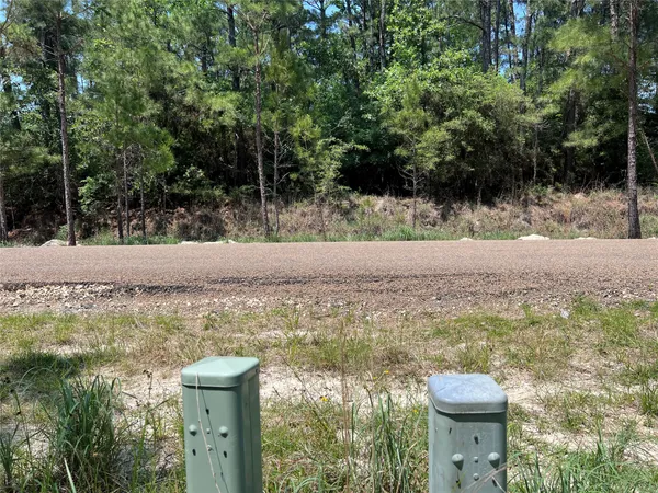 a view of back yard of the house