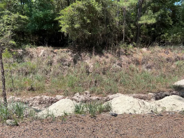 a view of a yard with large trees