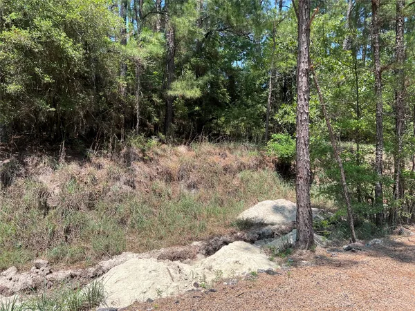 a view of yard with green space