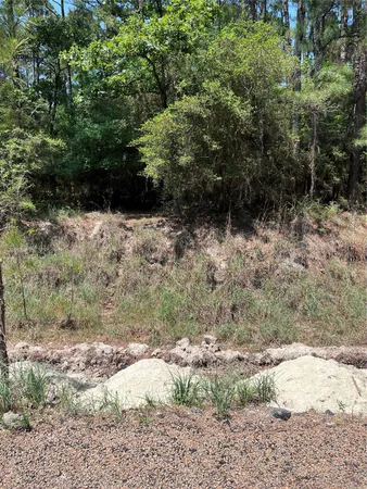 a view of a yard with trees