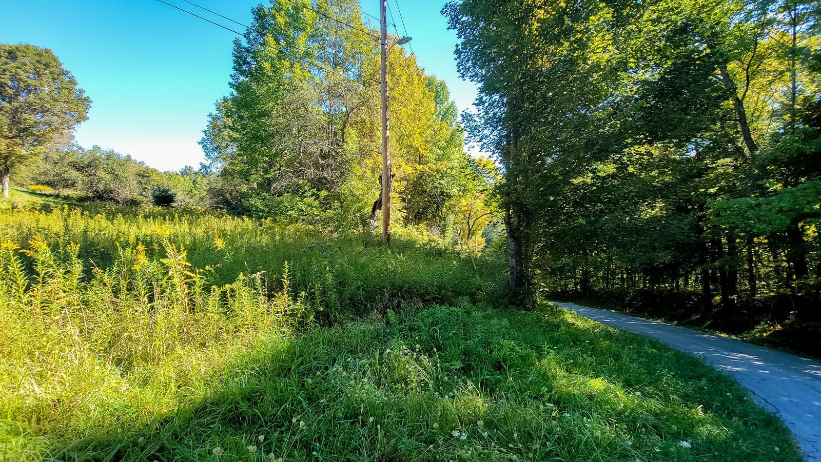 0 Hemingway Hill Road Ludlow, VT 05149 - Photo 6 of 11 Gallery Image 6