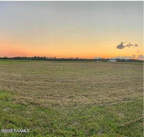 Vie Terre Beau Road Basile, LA 70515 - Photo 2 of 3 20250115192938908602000000-o