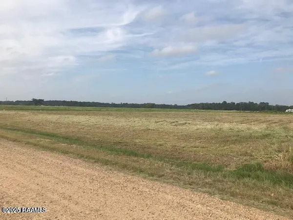 $35,000 | Vie Terre Beau Road, Basile, LA 70515