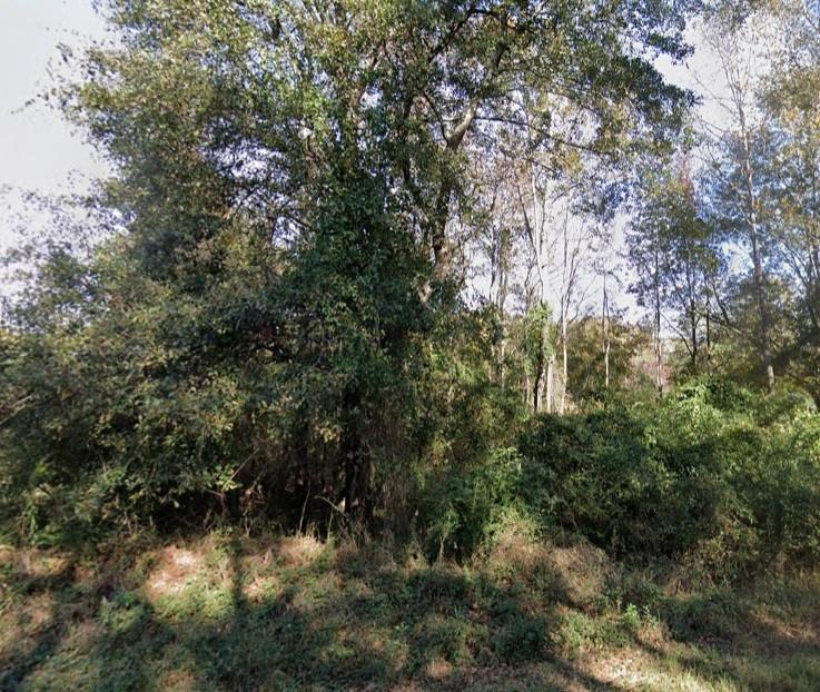 0 Harris Road Ellerslie, GA 31807 - Photo 2 of 4