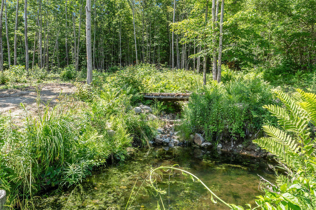 75 Fosterville Road Bridgton, ME 04009 - Photo 68 of 88 Pond
