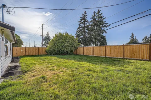 a view of a backyard