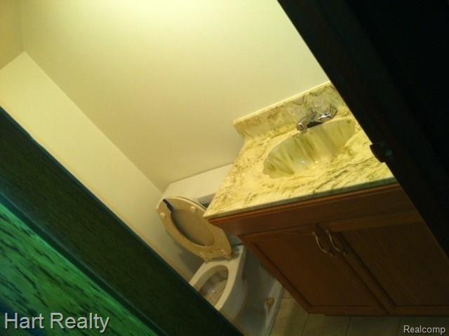 3684 Galbraith Line Road Brown City, MI 48416 - Photo 21 of 24 image (21).jpg