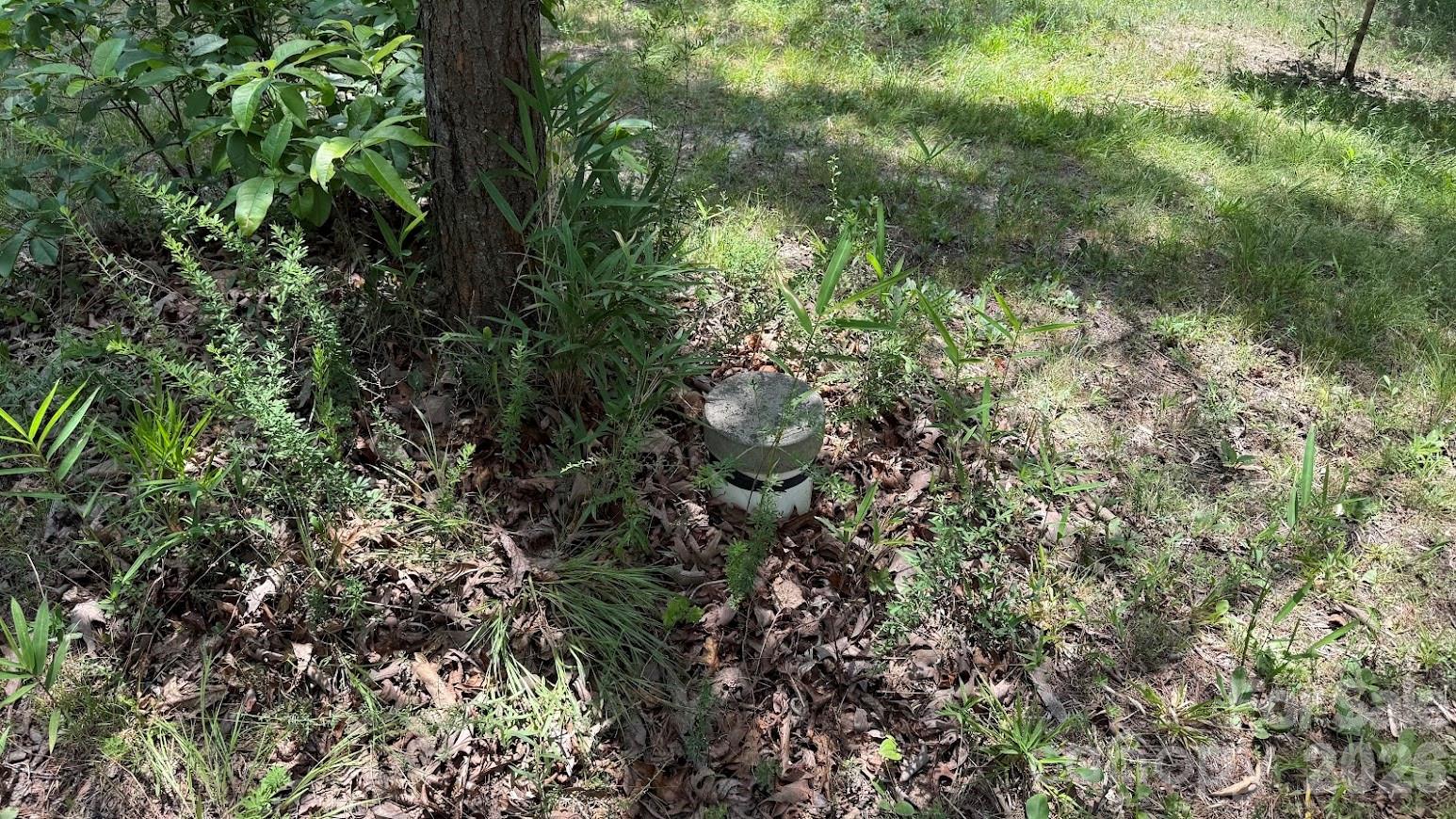0 Fallen Tree Lane, Unit 19 Mill Spring, NC 28756 - Photo 9 of 12