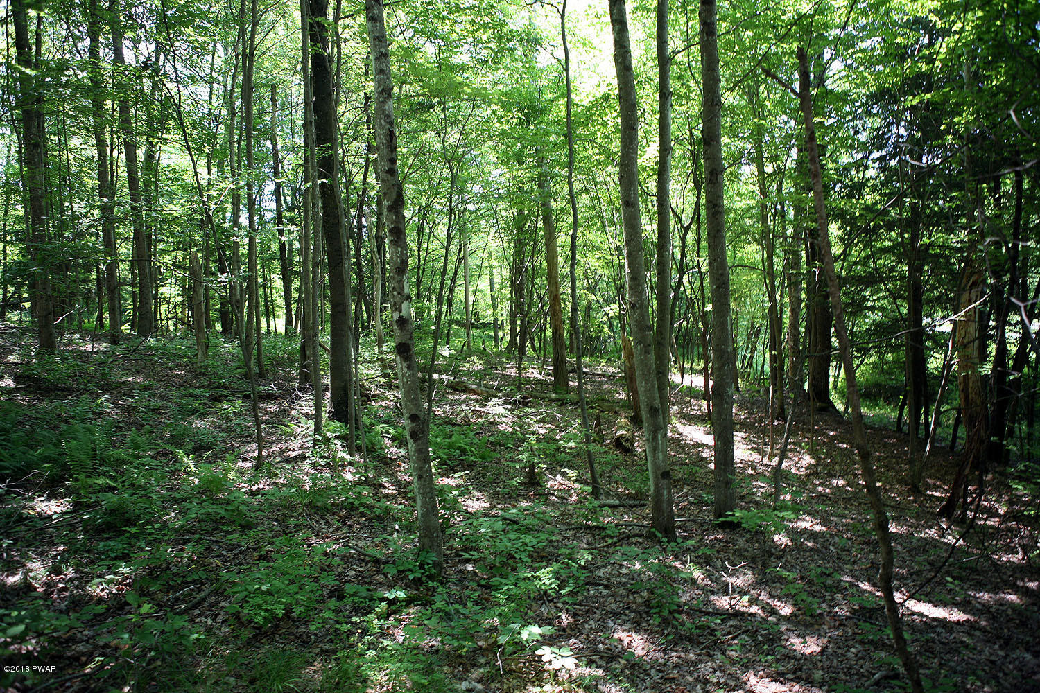 0 Callicoon Road Damascus, PA 18415 - Photo 15 of 20 07 02 18 137 - Copy